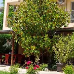 Family Magnolia, Sunny