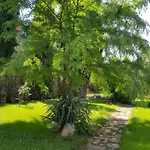 Family Magnolia, Sunny 2*