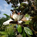 Hotel Family Magnolia, Sunny