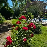מלון Family Magnolia, Sunny 2*