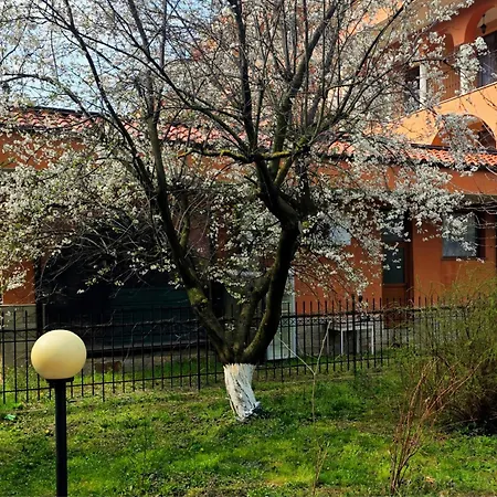 Family Magnolia, Sunny 2* Napospart