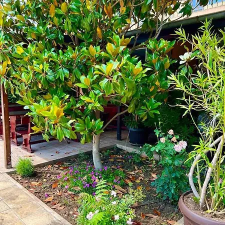 Отель Family Magnolia, Sunny Солнечный берег