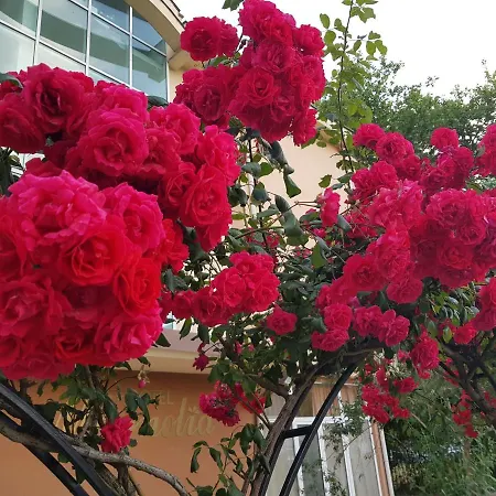 Family Magnolia, Sunny 酒店 2*