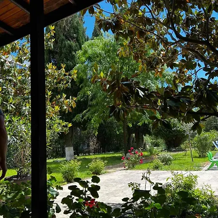 Family Magnolia, Sunny