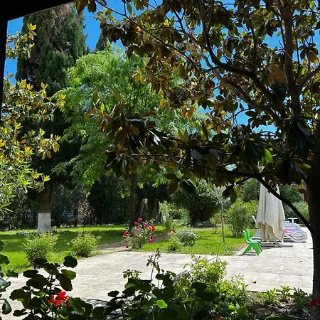 Family Magnolia, Sunny 酒店