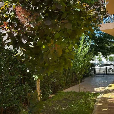 Отель Family Magnolia, Sunny Солнечный берег