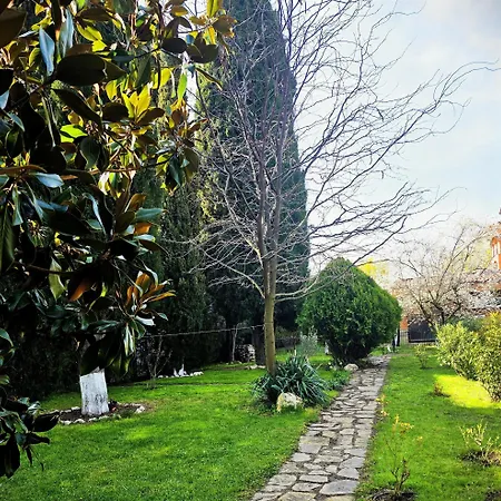 Family Magnolia, Sunny 3*