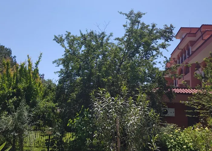 Family Magnolia, Sunny 호텔