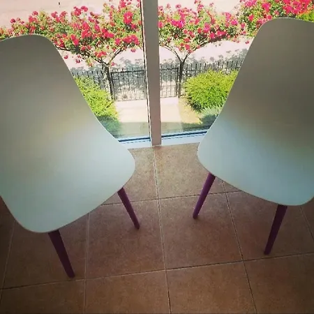 Family Magnolia, Sunny סאני ביץ'