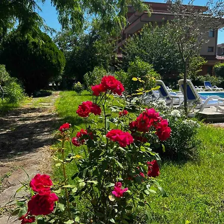 Отель Family Magnolia, Sunny 2*