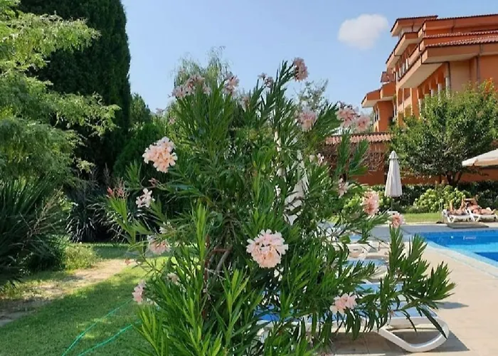 Family Magnolia, Sunny Отель Солнечный берег