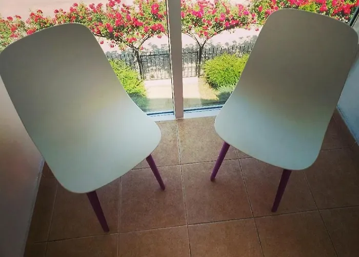 Family Magnolia, Sunny 阳光海滩