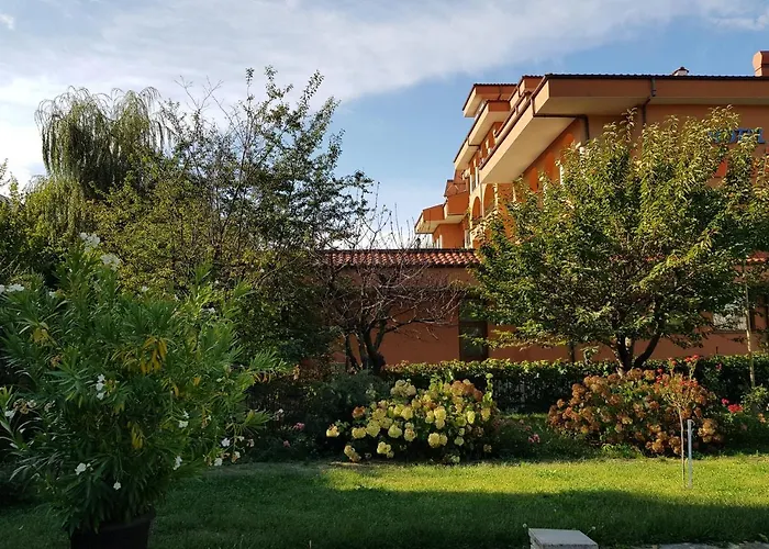 Family Magnolia, Sunny Солнечный берег