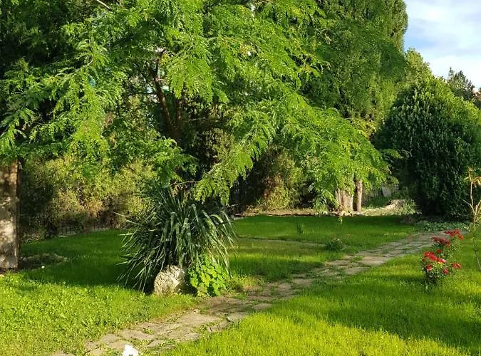 Отель Family Magnolia, Sunny 2*