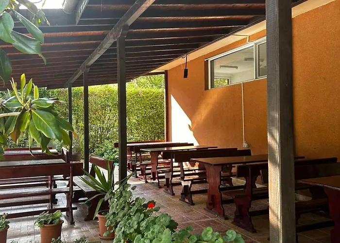 Family Magnolia, Sunny Солнечный берег