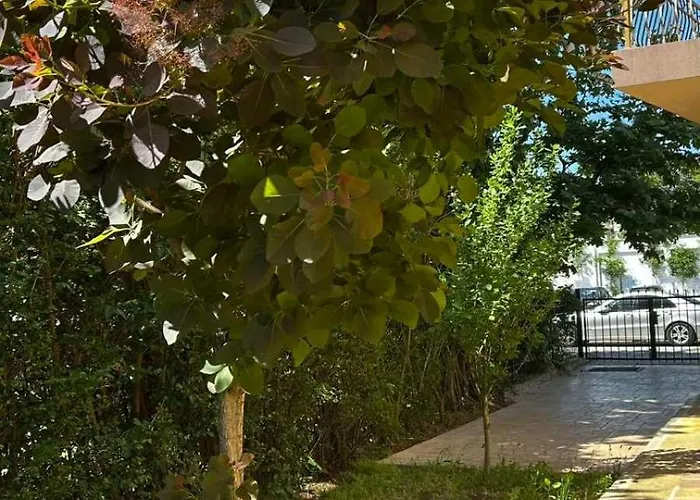 Отель Family Magnolia, Sunny Солнечный берег