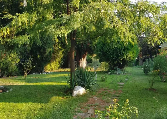 Family Magnolia, Sunny